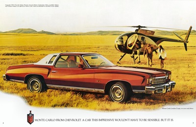 1975 Chevrolet Monte Carlo (Rev)-02-03.jpg